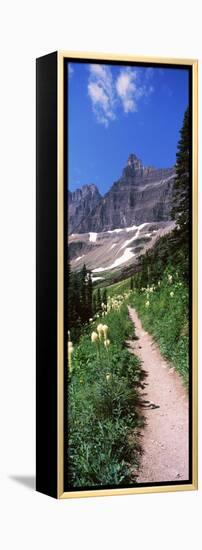 Hiking Trail at Us Glacier National Park, Montana, USA-null-Framed Stretched Canvas