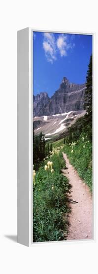 Hiking Trail at Us Glacier National Park, Montana, USA-null-Framed Stretched Canvas