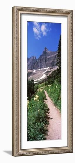 Hiking Trail at Us Glacier National Park, Montana, USA-null-Framed Photographic Print