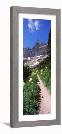 Hiking Trail at Us Glacier National Park, Montana, USA-null-Framed Photographic Print