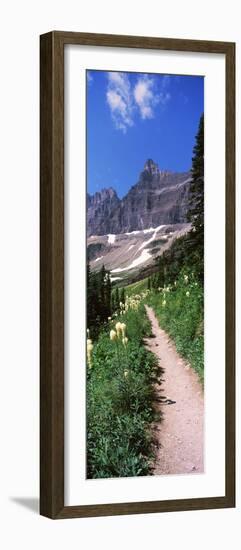 Hiking Trail at Us Glacier National Park, Montana, USA-null-Framed Photographic Print