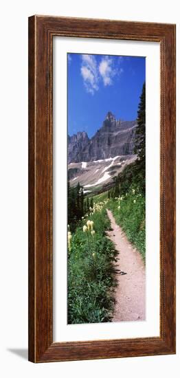 Hiking Trail at Us Glacier National Park, Montana, USA-null-Framed Photographic Print