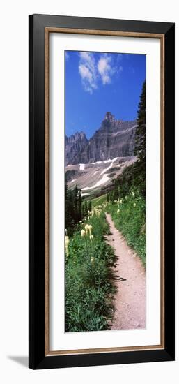 Hiking Trail at Us Glacier National Park, Montana, USA-null-Framed Photographic Print