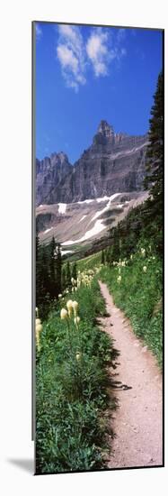 Hiking Trail at Us Glacier National Park, Montana, USA-null-Mounted Photographic Print