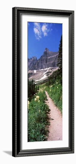 Hiking Trail at Us Glacier National Park, Montana, USA-null-Framed Photographic Print