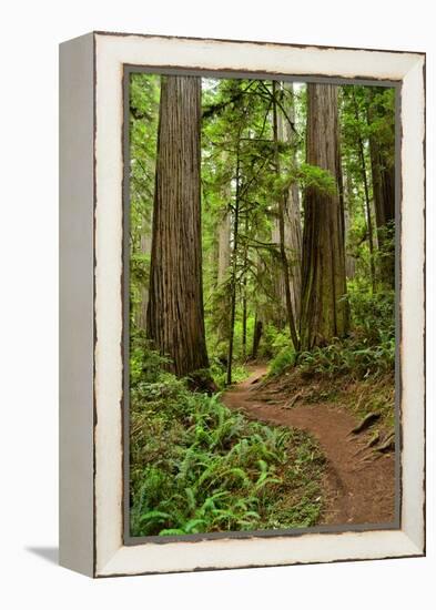 Hiking Trail I-Brian Moore-Framed Premier Image Canvas