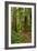 Hiking Trail I-Brian Moore-Framed Photographic Print