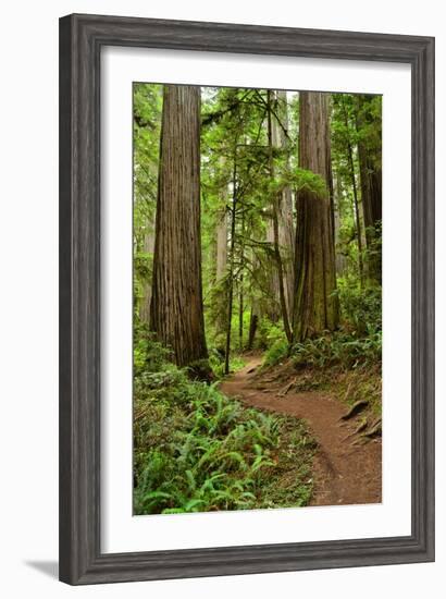 Hiking Trail I-Brian Moore-Framed Photographic Print