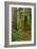 Hiking Trail I-Brian Moore-Framed Photographic Print