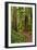 Hiking Trail I-Brian Moore-Framed Photographic Print