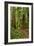 Hiking Trail I-Brian Moore-Framed Photographic Print