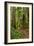 Hiking Trail I-Brian Moore-Framed Photographic Print