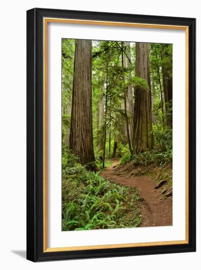 Hiking Trail I-Brian Moore-Framed Photographic Print