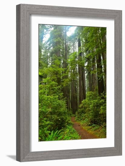 Hiking Trail II-Brian Moore-Framed Photographic Print