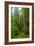 Hiking Trail II-Brian Moore-Framed Photographic Print