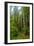 Hiking Trail II-Brian Moore-Framed Photographic Print
