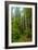 Hiking Trail II-Brian Moore-Framed Photographic Print