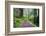 Hiking Trail in the Redwoods-Terry Eggers-Framed Photographic Print