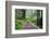 Hiking Trail in the Redwoods-Terry Eggers-Framed Photographic Print