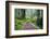 Hiking Trail in the Redwoods-Terry Eggers-Framed Photographic Print