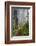 Hiking Trail in the Redwoods-Terry Eggers-Framed Photographic Print