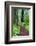 Hiking Trail in the Redwoods-Terry Eggers-Framed Photographic Print