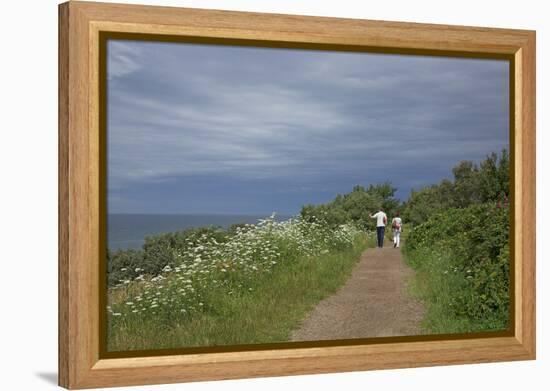 Hiking Trail on the Flower Covered Steep Bank with a View to the Baltic Sea-Uwe Steffens-Framed Premier Image Canvas