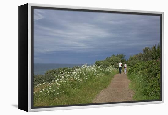 Hiking Trail on the Flower Covered Steep Bank with a View to the Baltic Sea-Uwe Steffens-Framed Premier Image Canvas