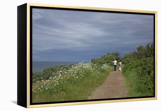 Hiking Trail on the Flower Covered Steep Bank with a View to the Baltic Sea-Uwe Steffens-Framed Premier Image Canvas