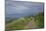 Hiking Trail on the Flower Covered Steep Bank with a View to the Baltic Sea-Uwe Steffens-Mounted Photographic Print