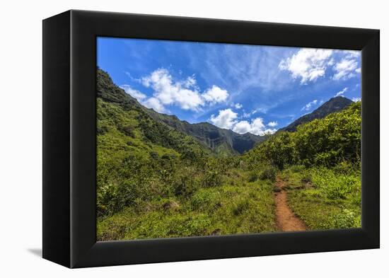 Hiking Trail to Hanakapiíai Falls in Kauai Along the Na Pali Coast-Andrew Shoemaker-Framed Premier Image Canvas