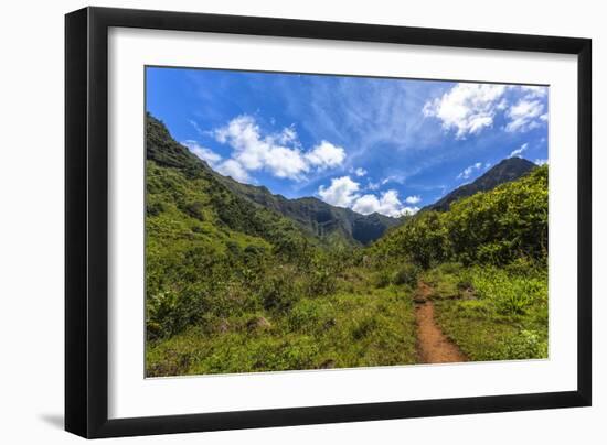 Hiking Trail to Hanakapiíai Falls in Kauai Along the Na Pali Coast-Andrew Shoemaker-Framed Photographic Print