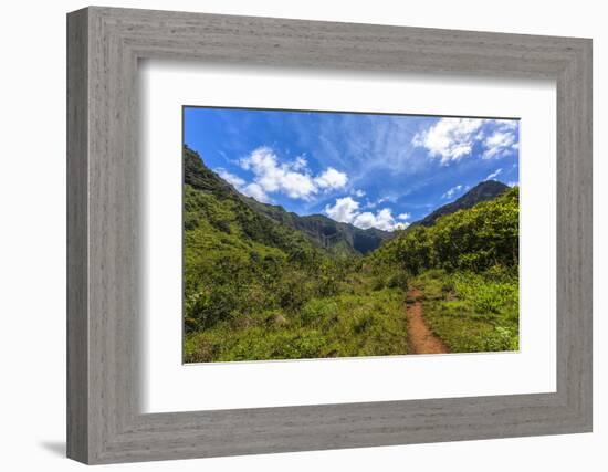 Hiking Trail to Hanakapiíai Falls in Kauai Along the Na Pali Coast-Andrew Shoemaker-Framed Photographic Print