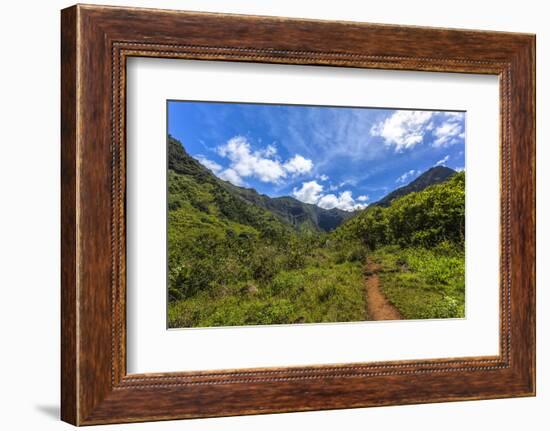 Hiking Trail to Hanakapiíai Falls in Kauai Along the Na Pali Coast-Andrew Shoemaker-Framed Photographic Print