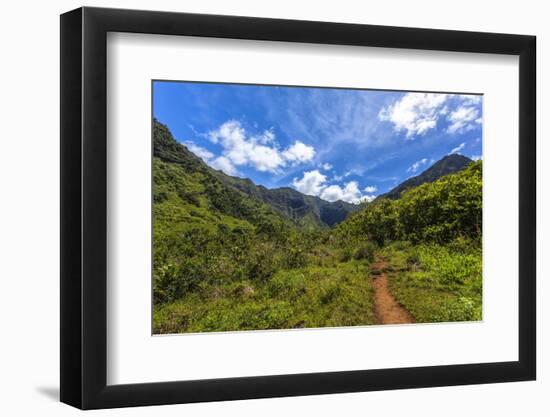 Hiking Trail to Hanakapiíai Falls in Kauai Along the Na Pali Coast-Andrew Shoemaker-Framed Photographic Print