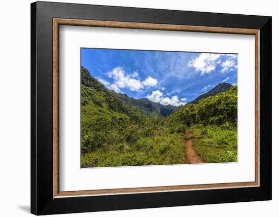 Hiking Trail to Hanakapiíai Falls in Kauai Along the Na Pali Coast-Andrew Shoemaker-Framed Photographic Print