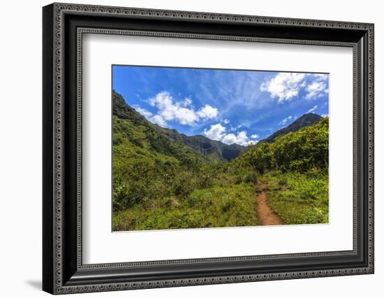 Hiking Trail to Hanakapiíai Falls in Kauai Along the Na Pali Coast-Andrew Shoemaker-Framed Photographic Print