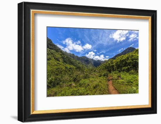 Hiking Trail to Hanakapiíai Falls in Kauai Along the Na Pali Coast-Andrew Shoemaker-Framed Photographic Print