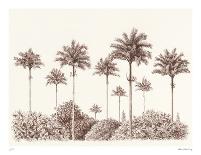 Peaceful Palm - Trio-Hilary Armstrong-Limited Edition