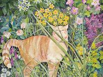 Summer Cat-Hilary Jones-Framed Giclee Print