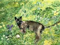 Summer Cat-Hilary Jones-Framed Giclee Print