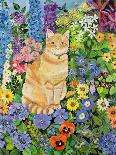 Summer Cat-Hilary Jones-Giclee Print