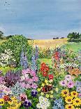 Summer from the Four Seasons (One of a Set of Four)-Hilary Jones-Giclee Print