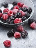 Sugared Raspberries and Blackberries in and in Front of a Bowl-Hilary Moore-Photographic Print