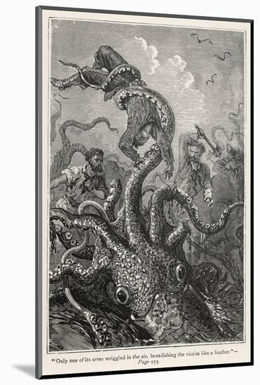 Photographic Print, , large