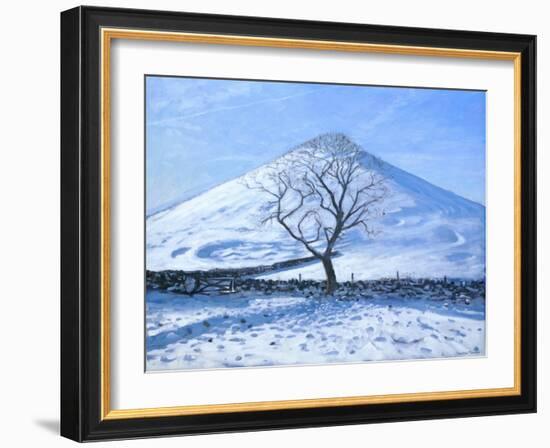 Hill and Tree, Derbyshire, 2008-Andrew Macara-Framed Giclee Print