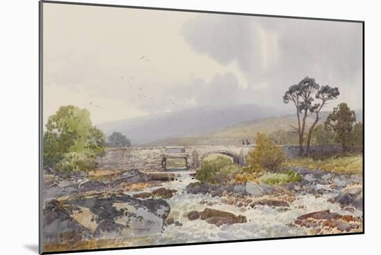 Hill Bridge on the Tavy , C.1895-96-Frederick John Widgery-Mounted Giclee Print
