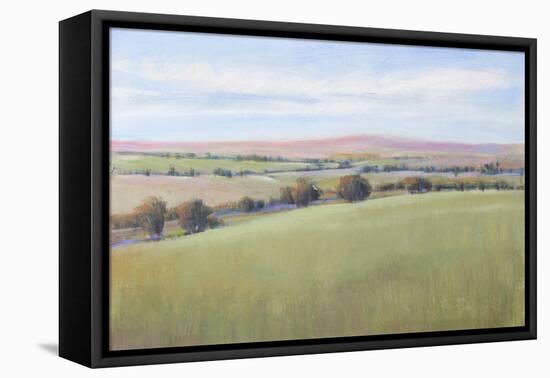 Hill Country II-Tim OToole-Framed Stretched Canvas