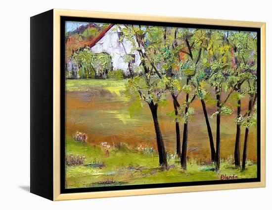 Hill House-Blenda Tyvoll-Framed Stretched Canvas