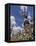 Hill of Crosses, Near Siauliai, Lithuania, Baltic States, Europe-Gary Cook-Framed Premier Image Canvas